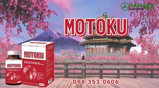 Giới thiệu Motoku