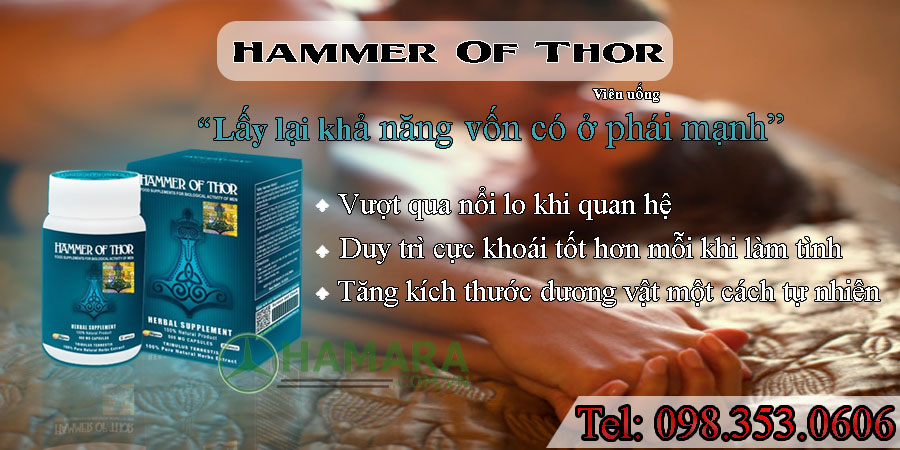 hammer of thor bán ở đâu chất lượng tphcm