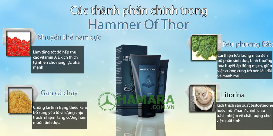 thành phần chình trong hammer of thor