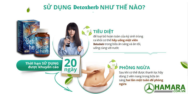sử dụng detoxherb