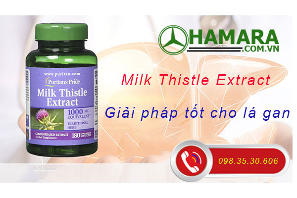 Giới thiệu Milk Thistle Extract