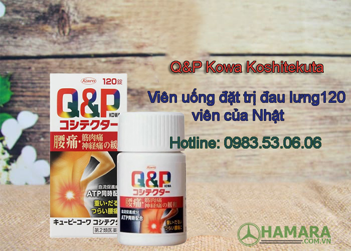 Đối tượng sử dụng Q&P Kowa Koshitekuta viên uống đặc trị đau lưng
