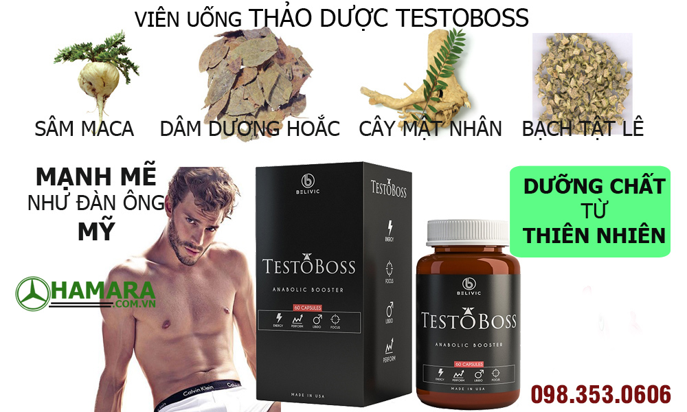 thành phần testoboss