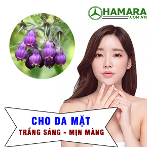 Công dụng của Allantion có trong mỹ phẩm