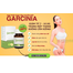 garcinia